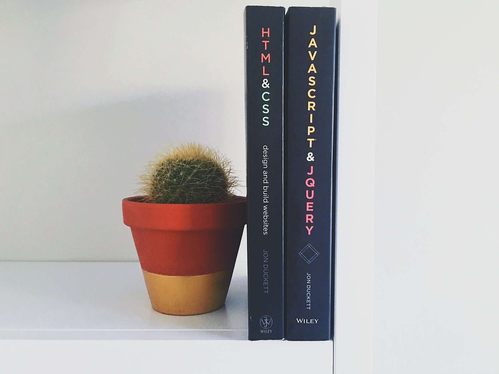 Bücher JavaScript, HTML, CSS und ein Kaktus